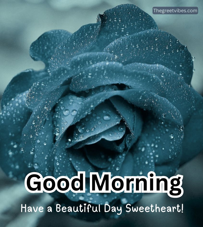 Good morning rose images for love
