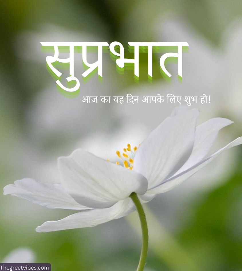 Suprabhat pics with flower