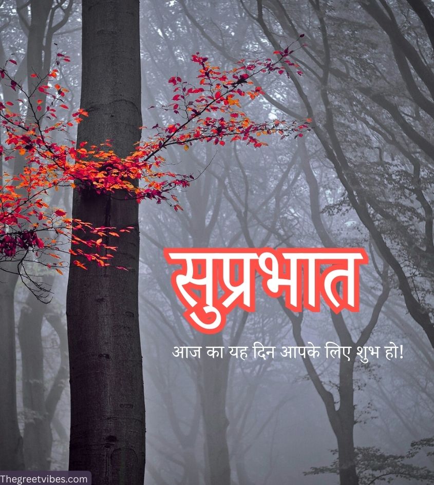 Suprabhat pictures with nature