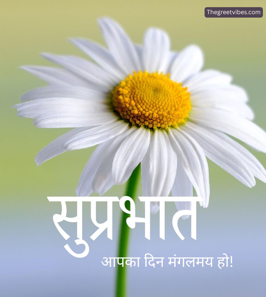 Suprabhat images with flower