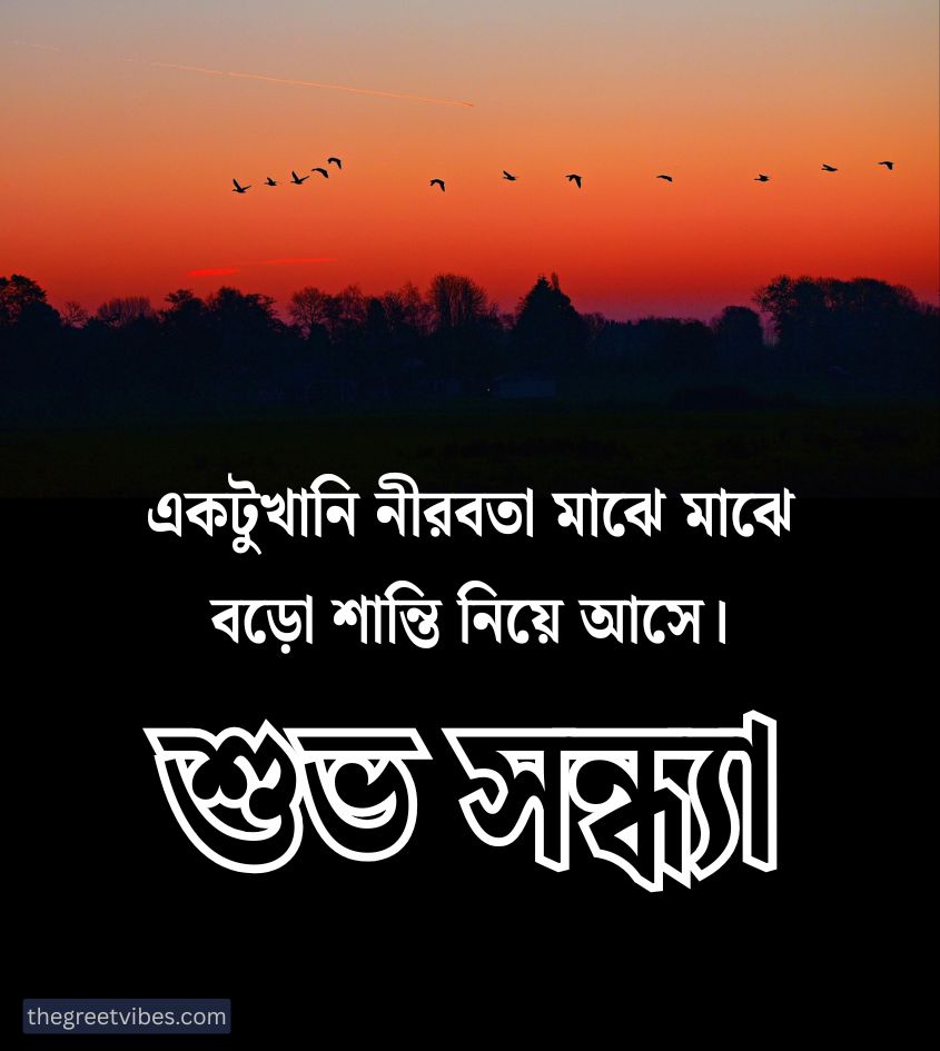best subho sondha quotes in bengali
