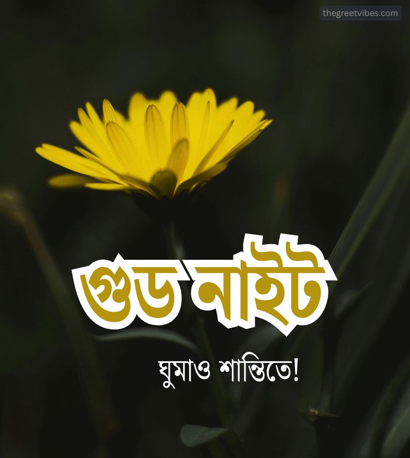 Shubh Ratri Images in Bengali with flower