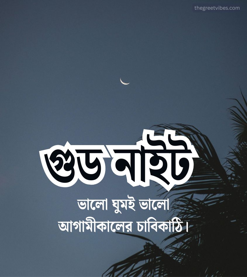 Bengali Good Night Images for WhatsApp