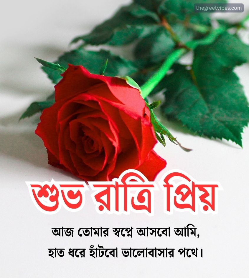 Bengali Good Night Greetings for Lover