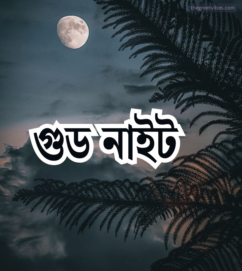 Bengali Good Night Greetings Images for WhatsApp