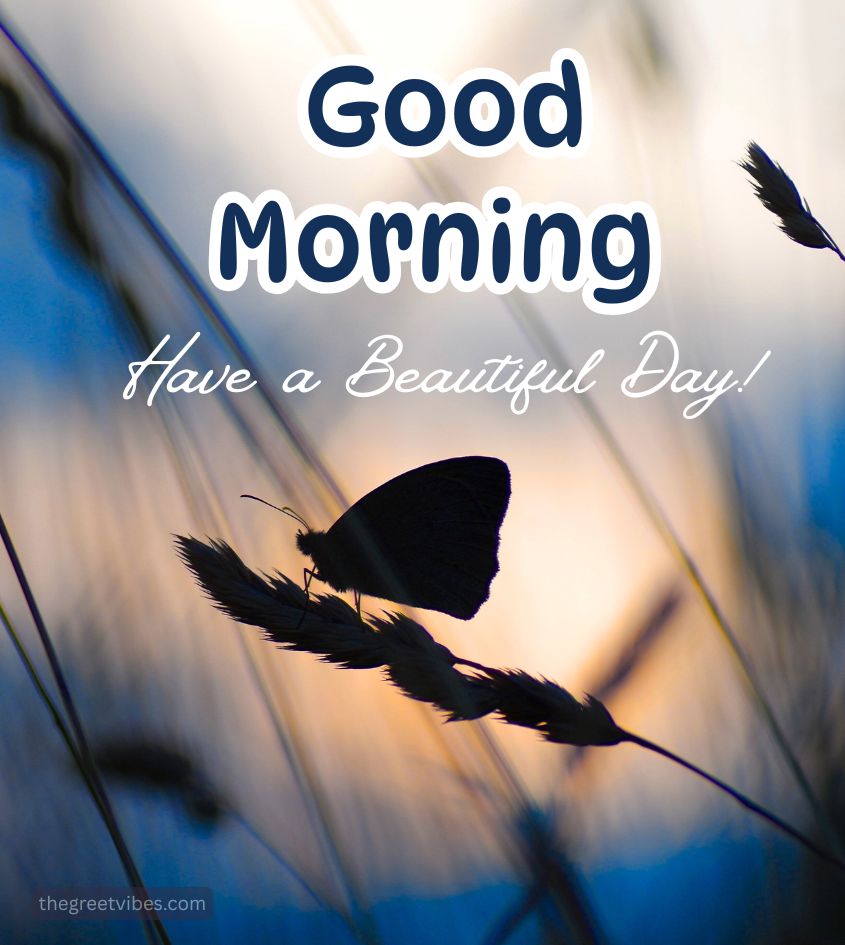 Good Morning Nature images with Butterfly