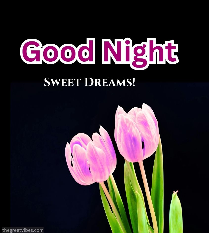 Beautiful Good Night Flower Images