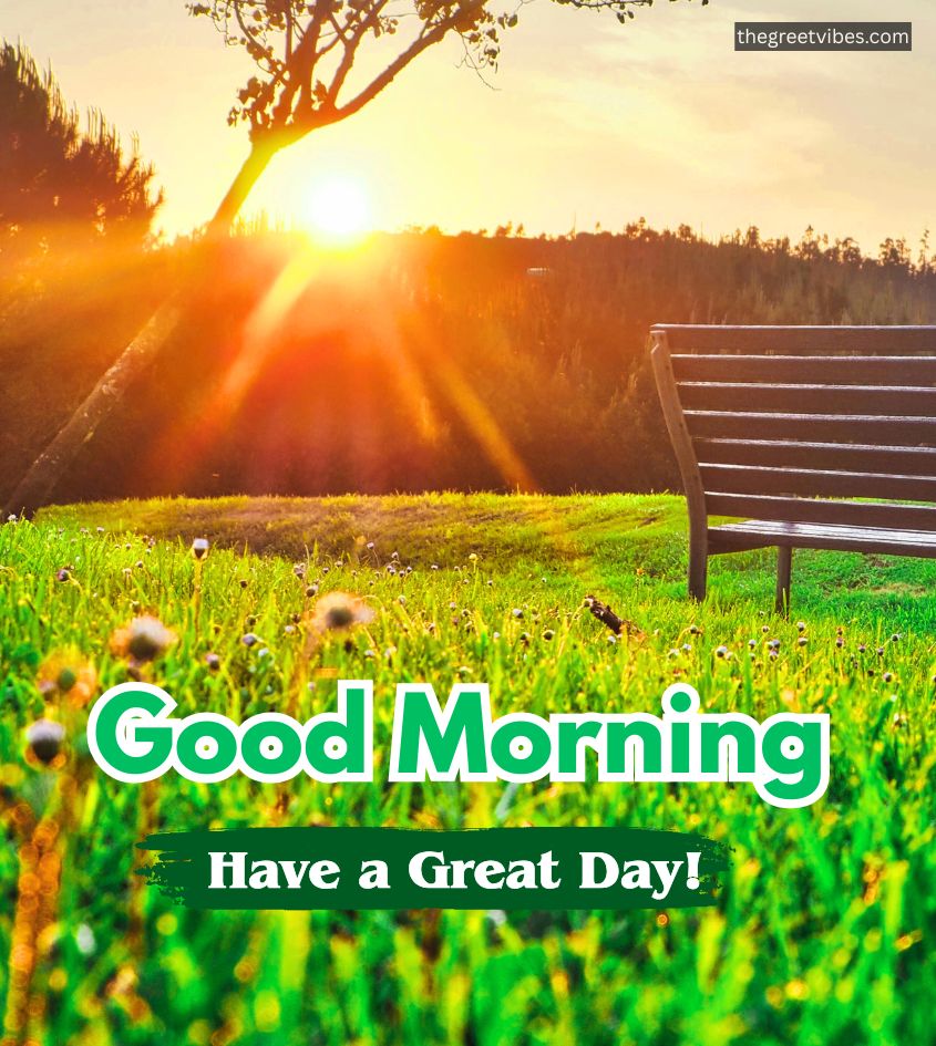 Sunrise Good morning Nature Images