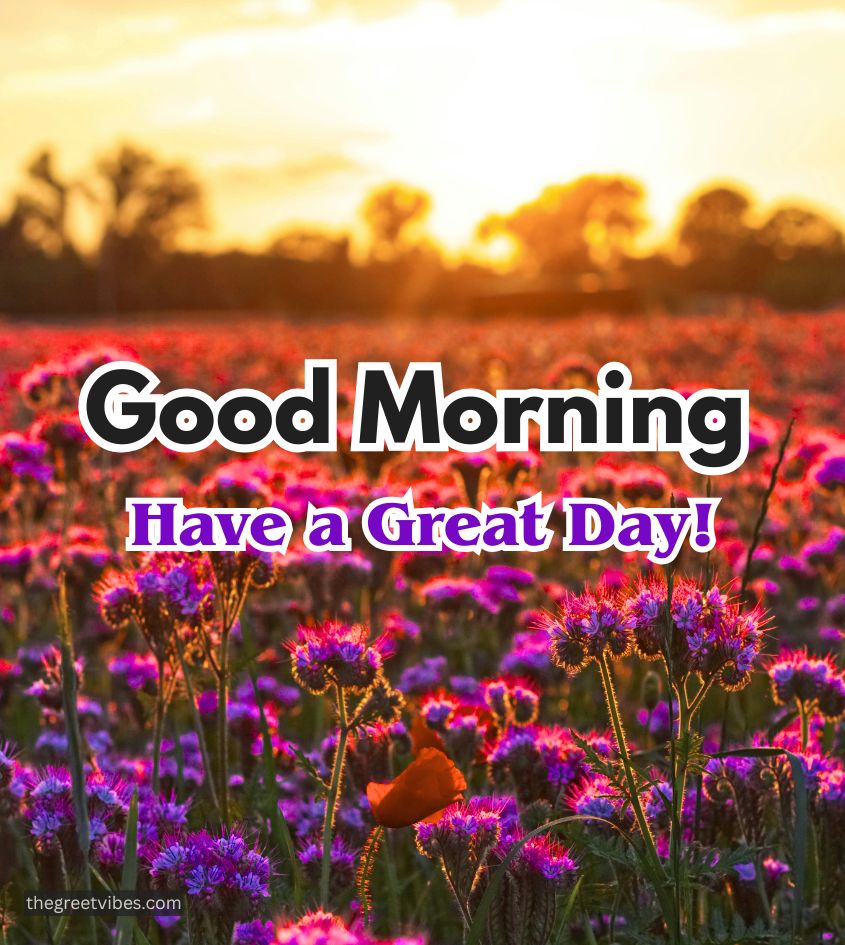 Sunrise Good morning greetings