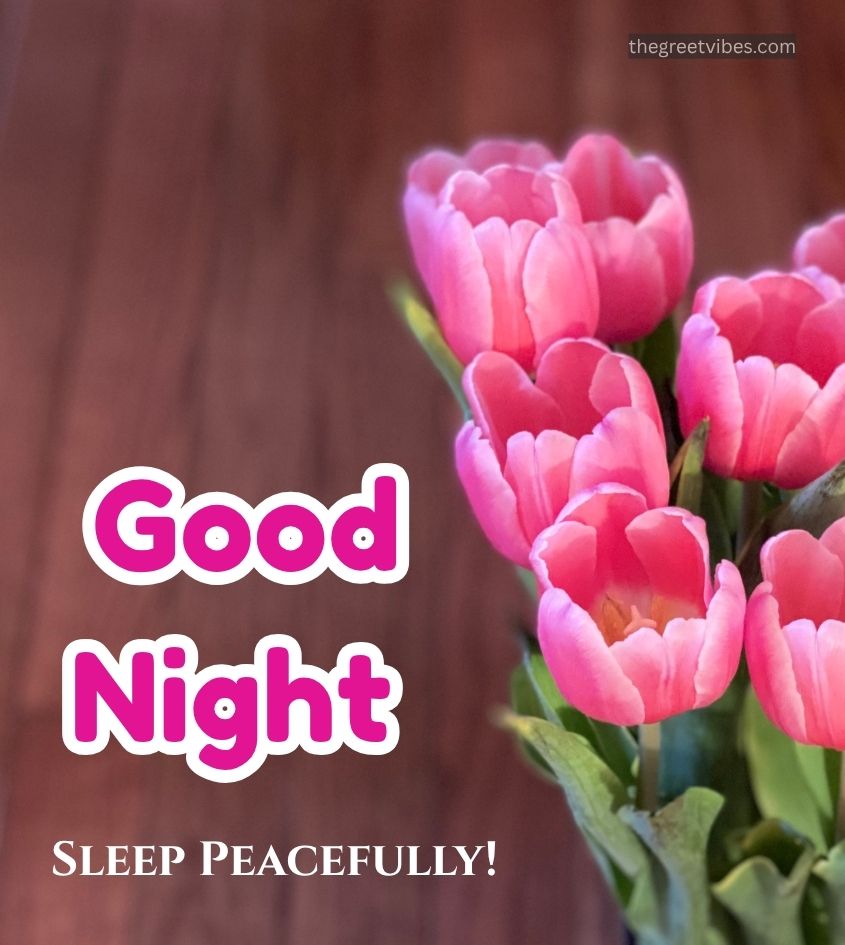 Good Night Tulip flower
