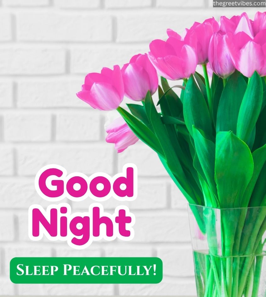 Tulip flowers with Good Night Flowers Wishes
