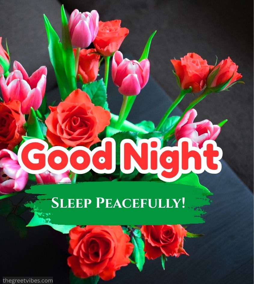 Vibrant Roses Flowers with Good Night Pics