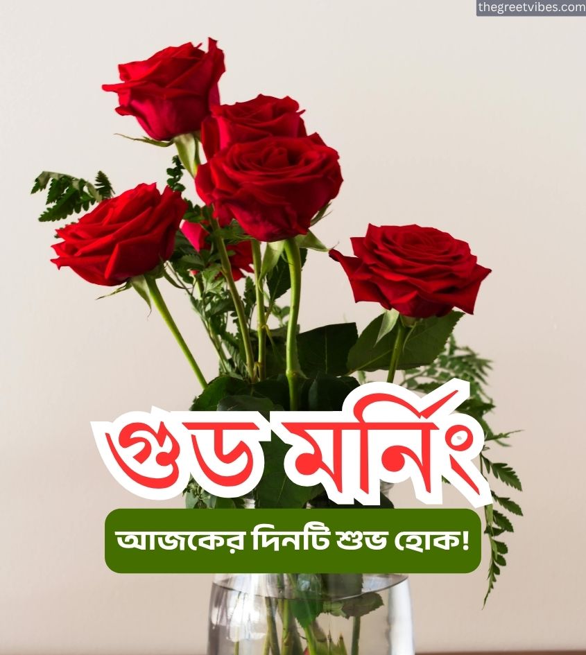 Good morning Priyo bangla images with rose