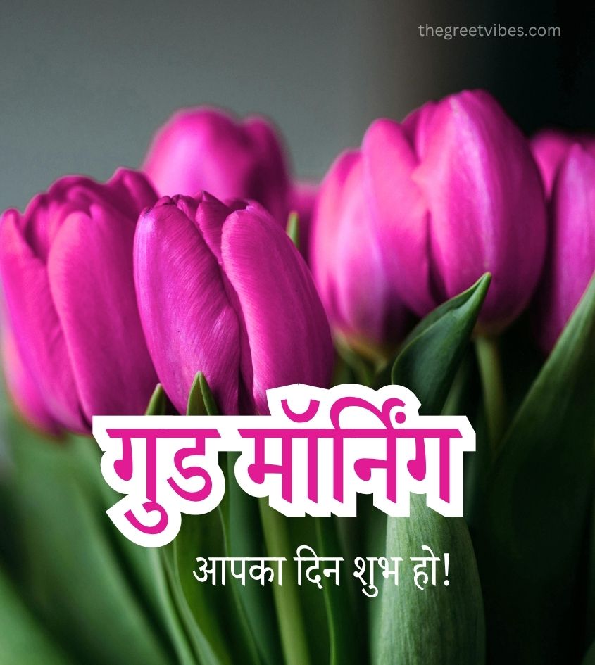 Good Morning in Hindi with Flowers Images