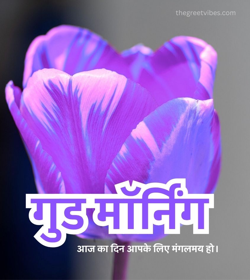 Vibrant Good Morning Flowers Images in Hindi