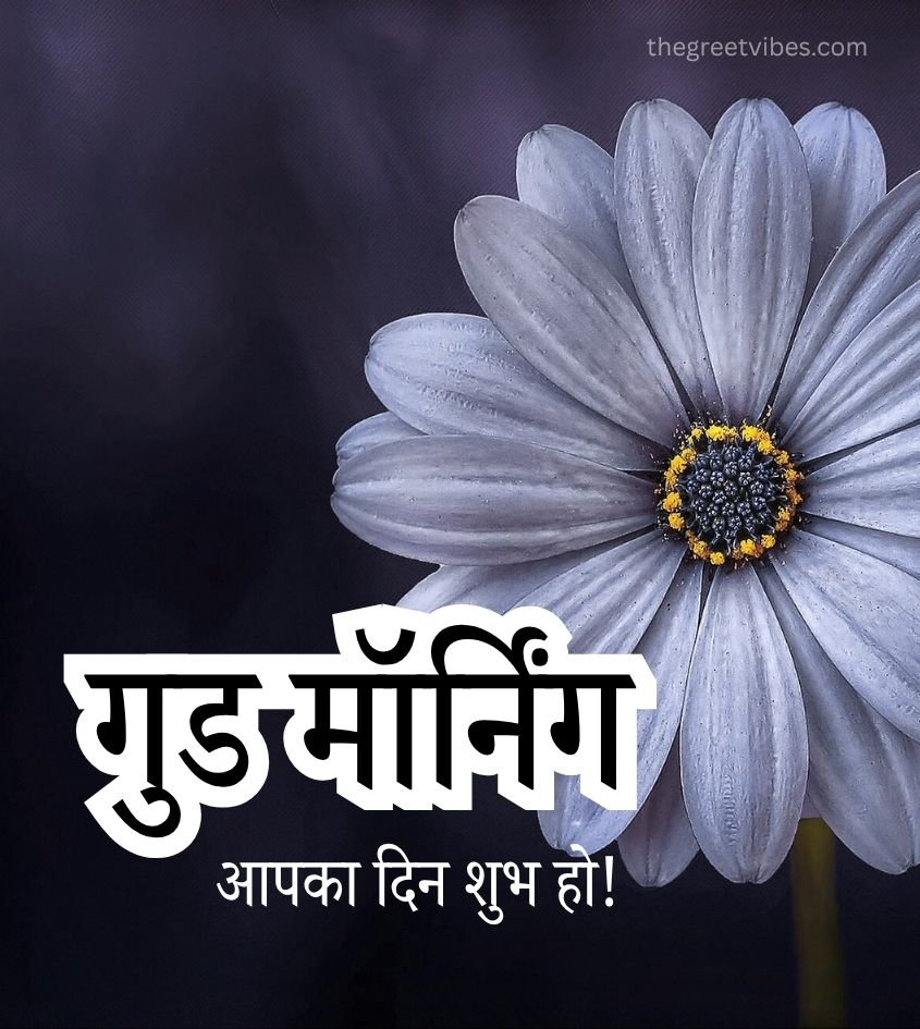 Good Morning Hindi Greetings Images with Flower