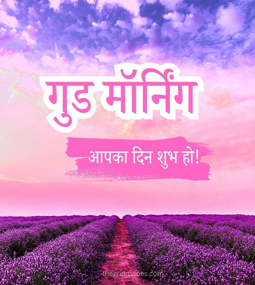 Good Morning Hindi Greetings with Flower Garden
