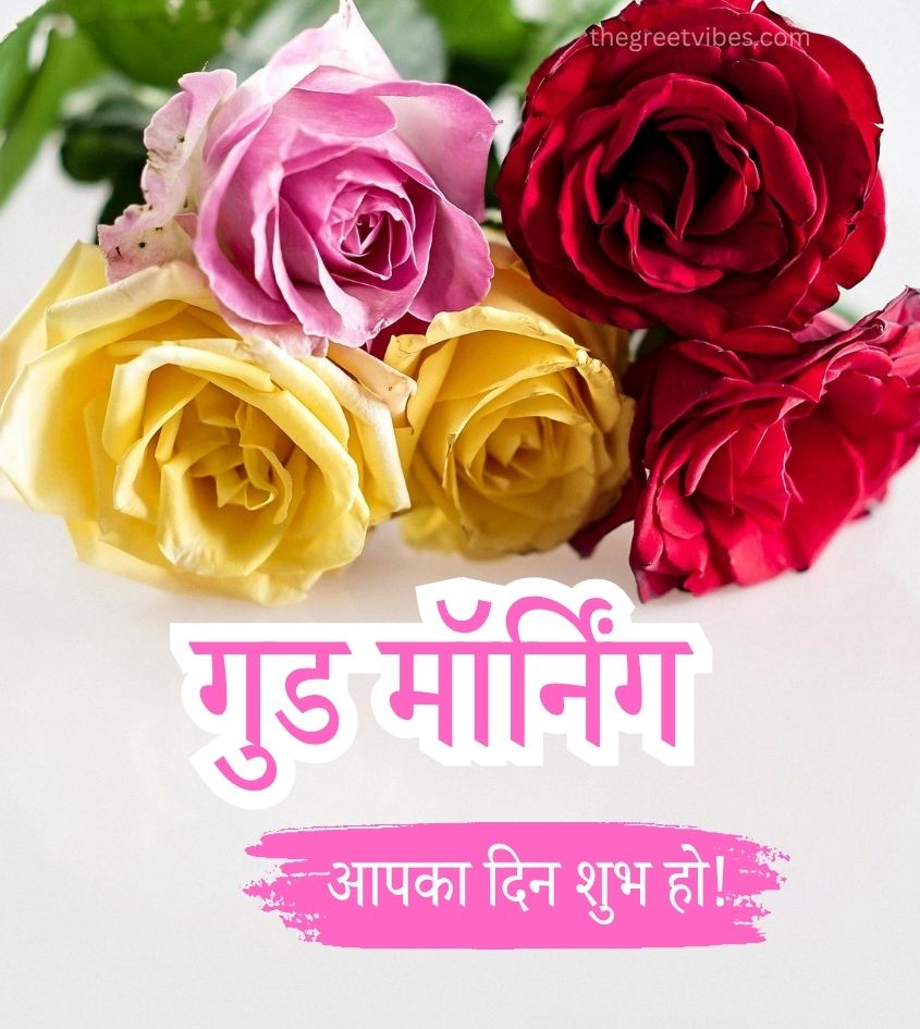 Fresh Roses with Good Morning Wishes in Hindi Language