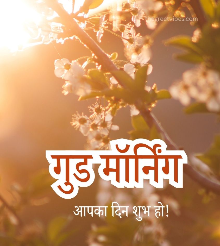 Good Morning Wishes in Hindi