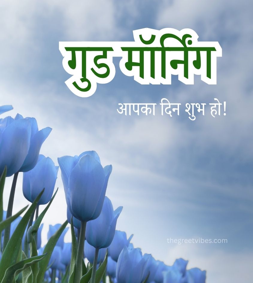 Tulips with Good Morning Wishes in Hindi