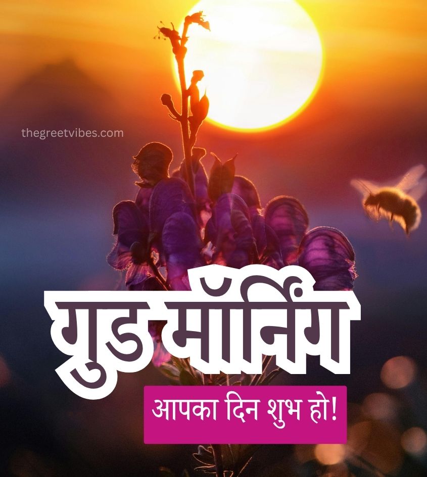 Good morning Images in Hindi