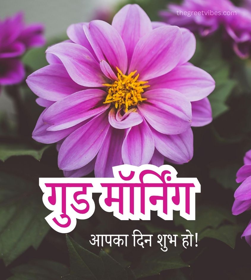 Beautiful Flowers with Good Morning Images in Hindi