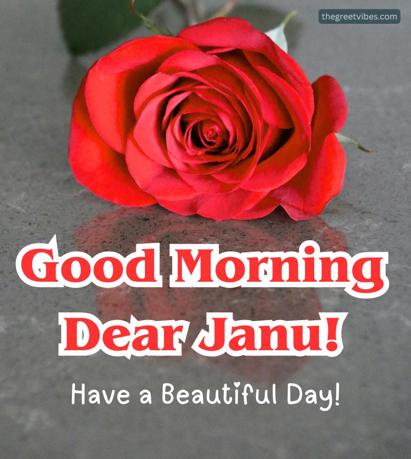 Good Morning Janu Images with Rose