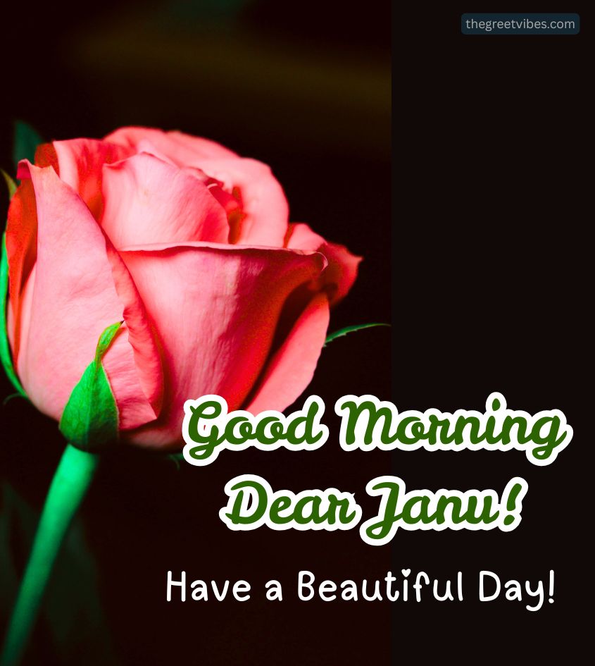 Good Morning Janu greet with rose
