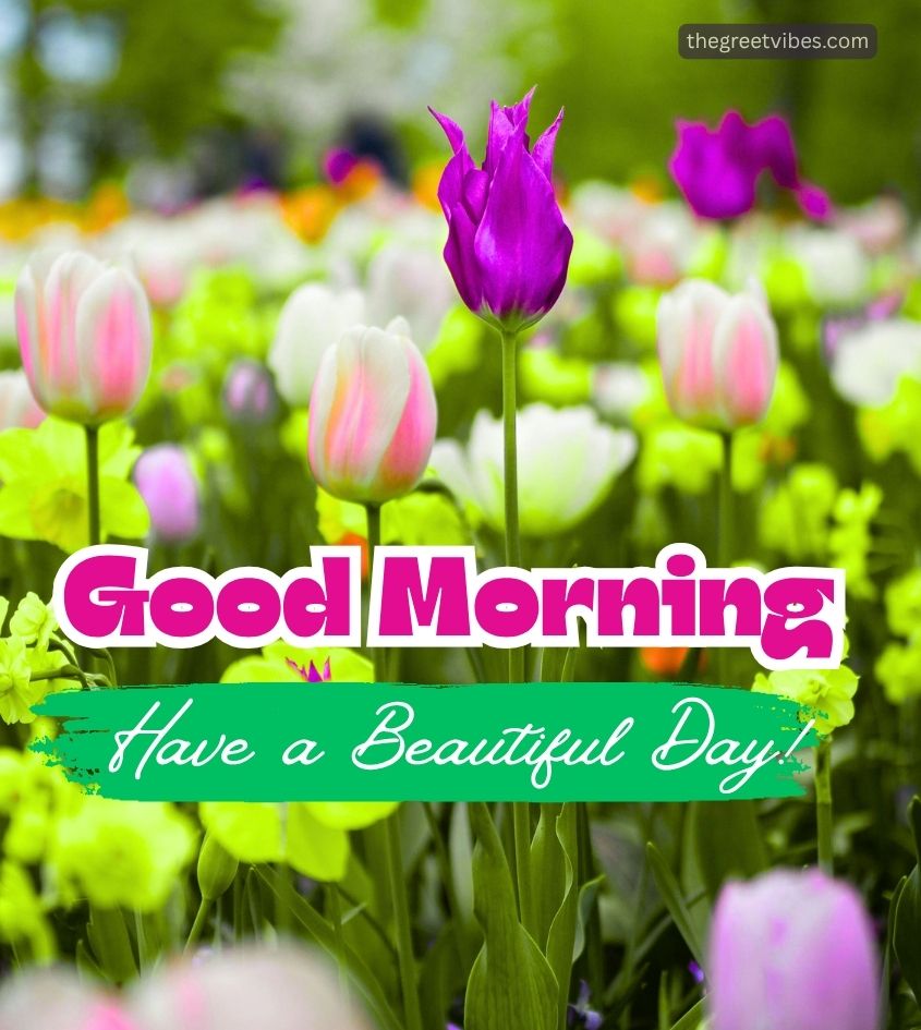 Good Morning Images with Nature Scenery
