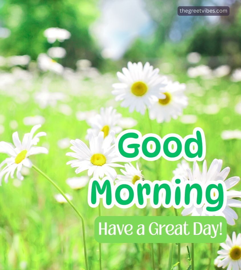 Good Morning with Nature Scenery
