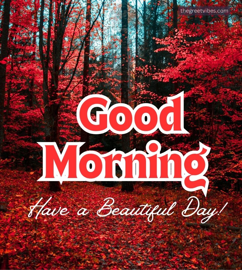 Beautiful Good Morning Nature Images