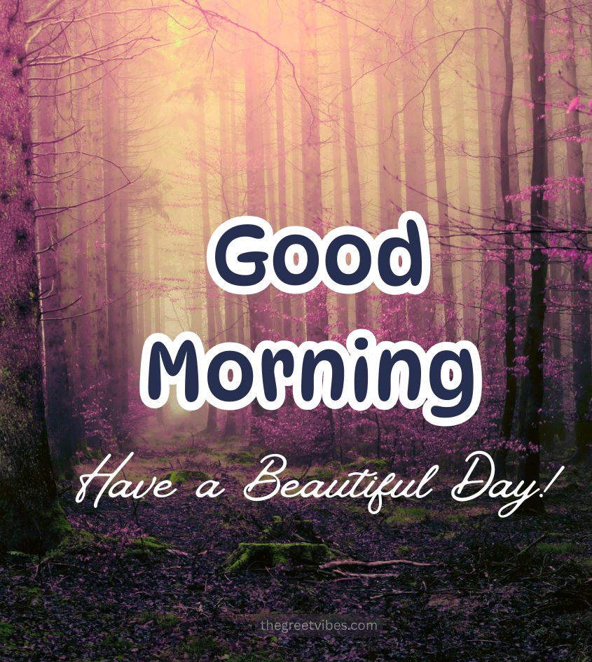 Good Morning Nature Wishes