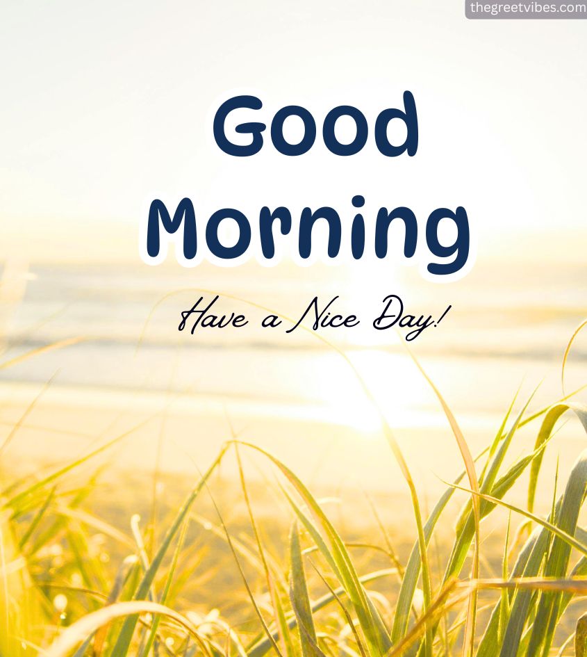 Good Morning Nature Sunrise Images