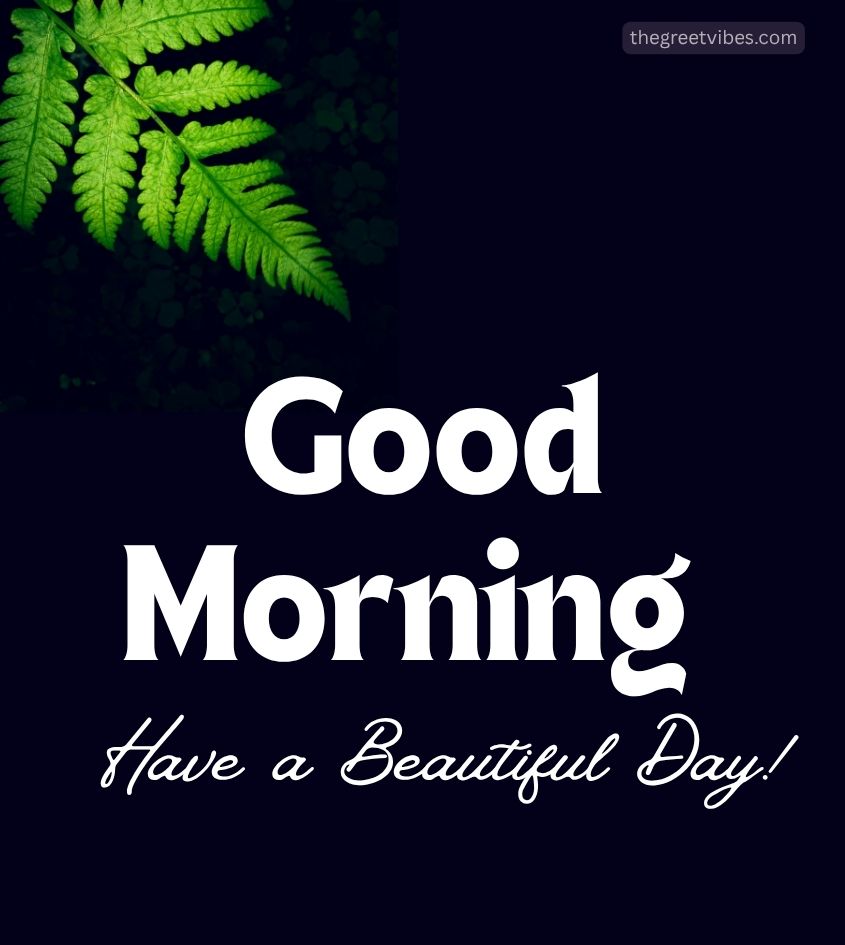 Good Morning Green Leaf Green Images
