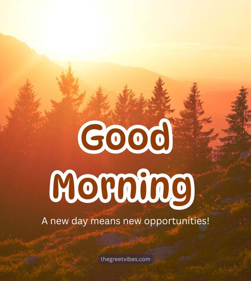 Good Morning Nature Scenery Images