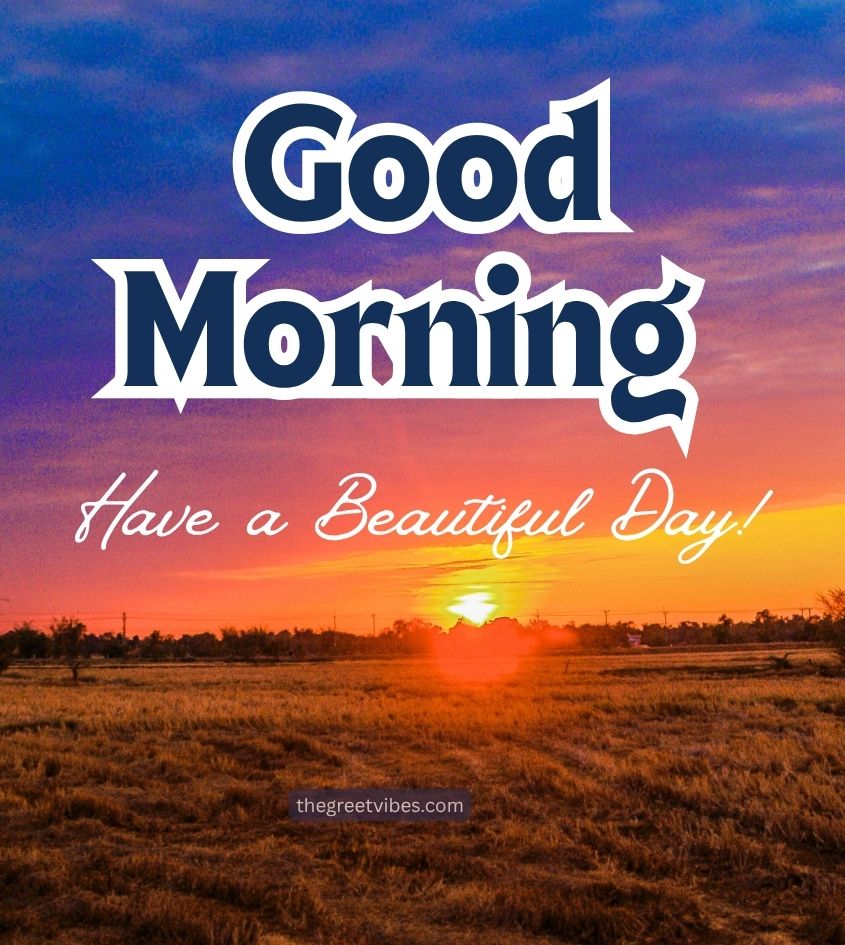 Good Morning Sunrise Pictures with Nature Background