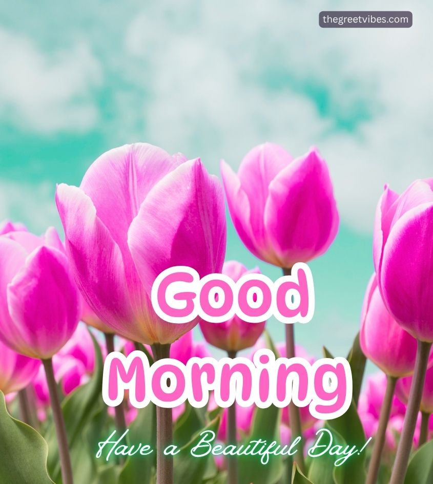Good Morning Nature Flower Images