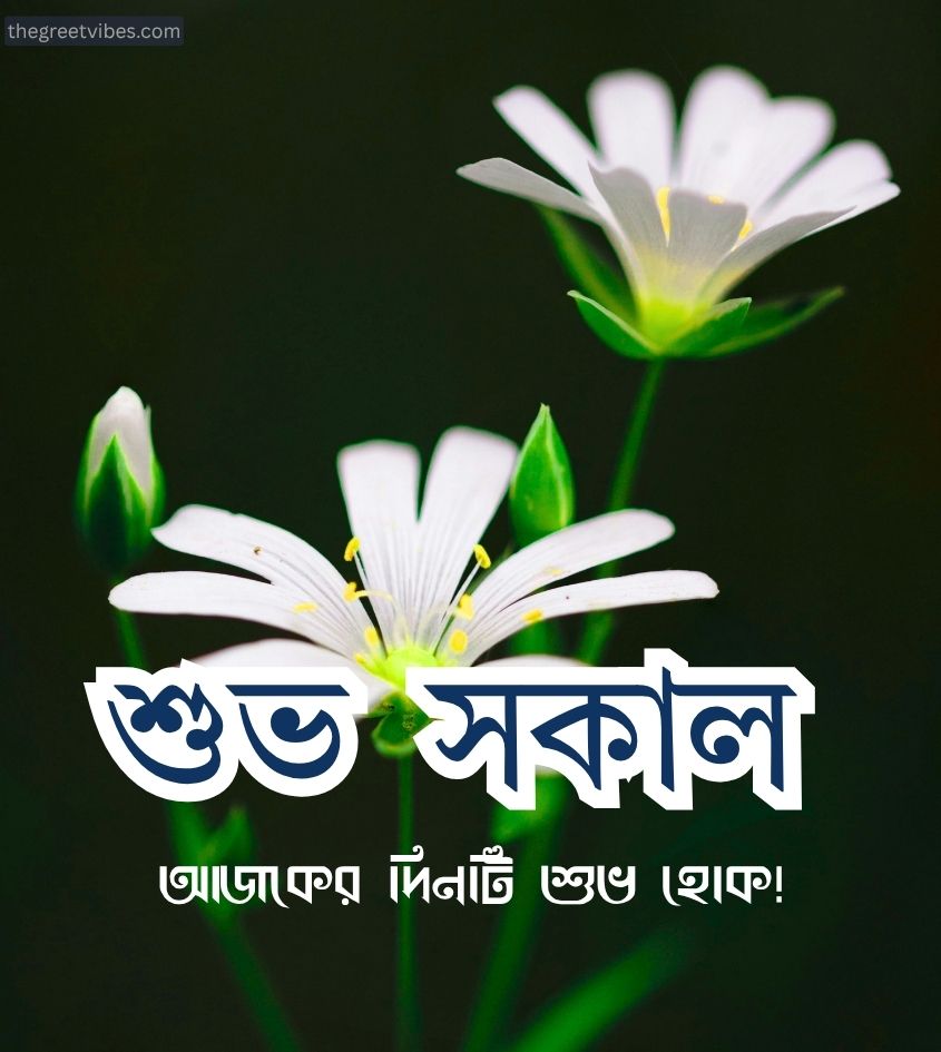 Good morning Flower in Bengali