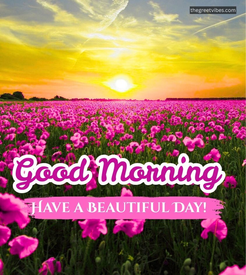 Sunrise over a flower garden with good morning greet