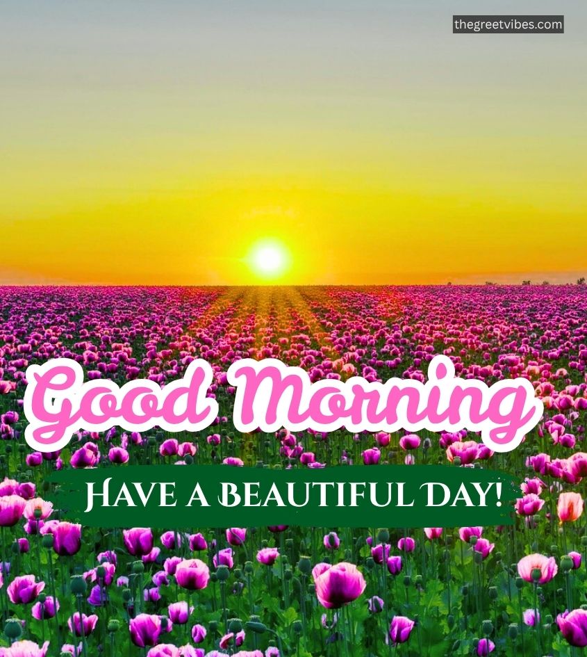 Sunrise over a flower garden with good morning wishes