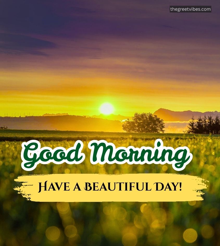 Good Morning Greetings with Sunrise Nature Scenery