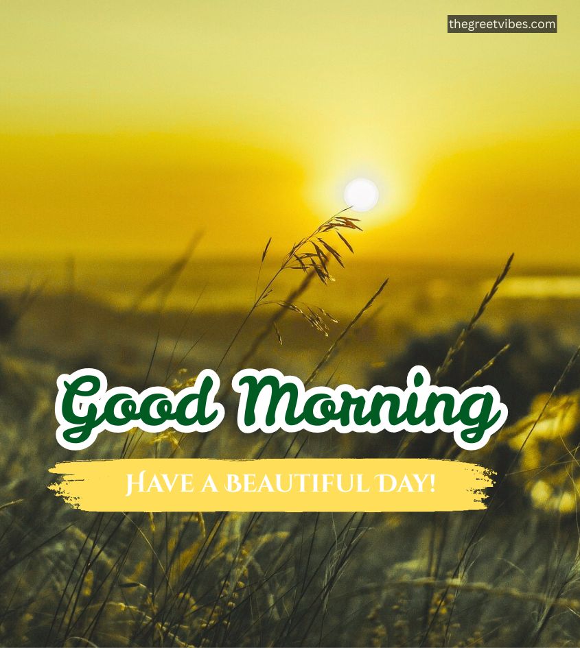 Beautiful Morning Sunrise Pictures with greetings