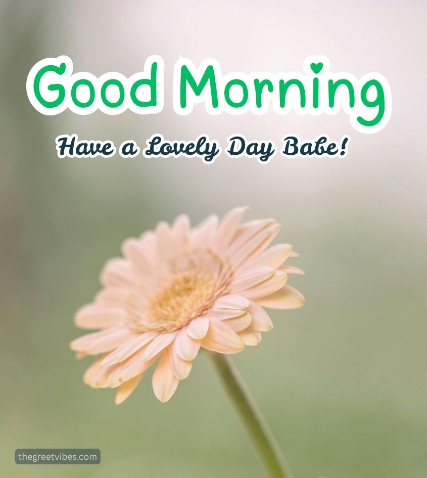Good Morning Sweetie Photo with Flower