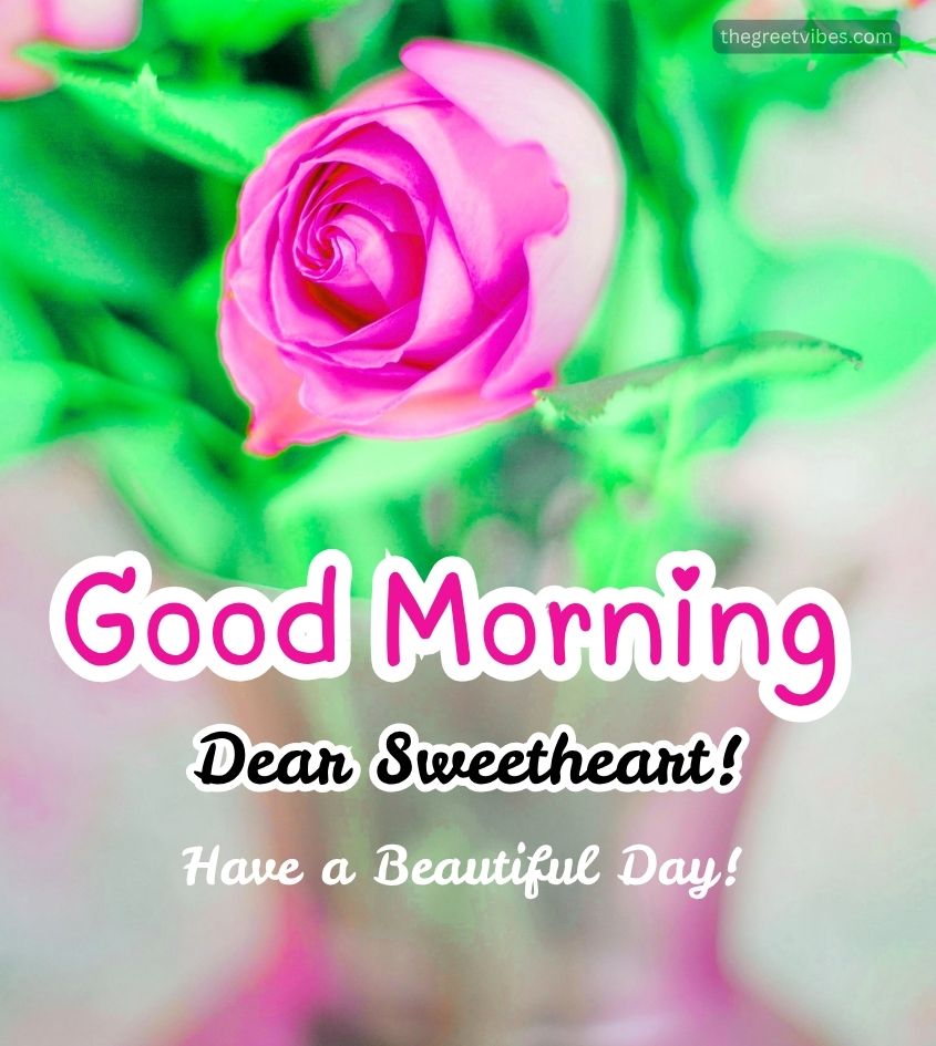 Good Morning Sweetheart Images with Rose