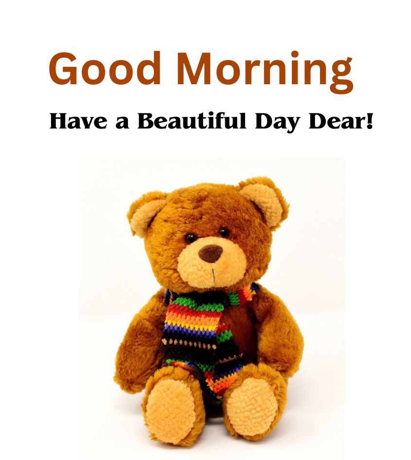 Good Morning teddy for janu lover