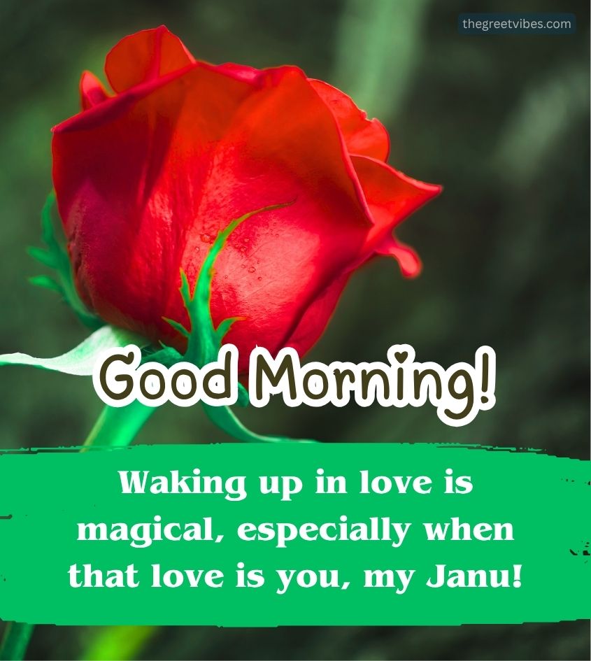 Good Morning Janu Images quotes