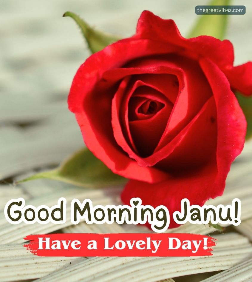 Rose with Good Morning Janu Images