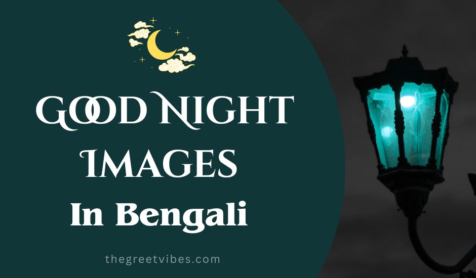 Bengali good Night Images