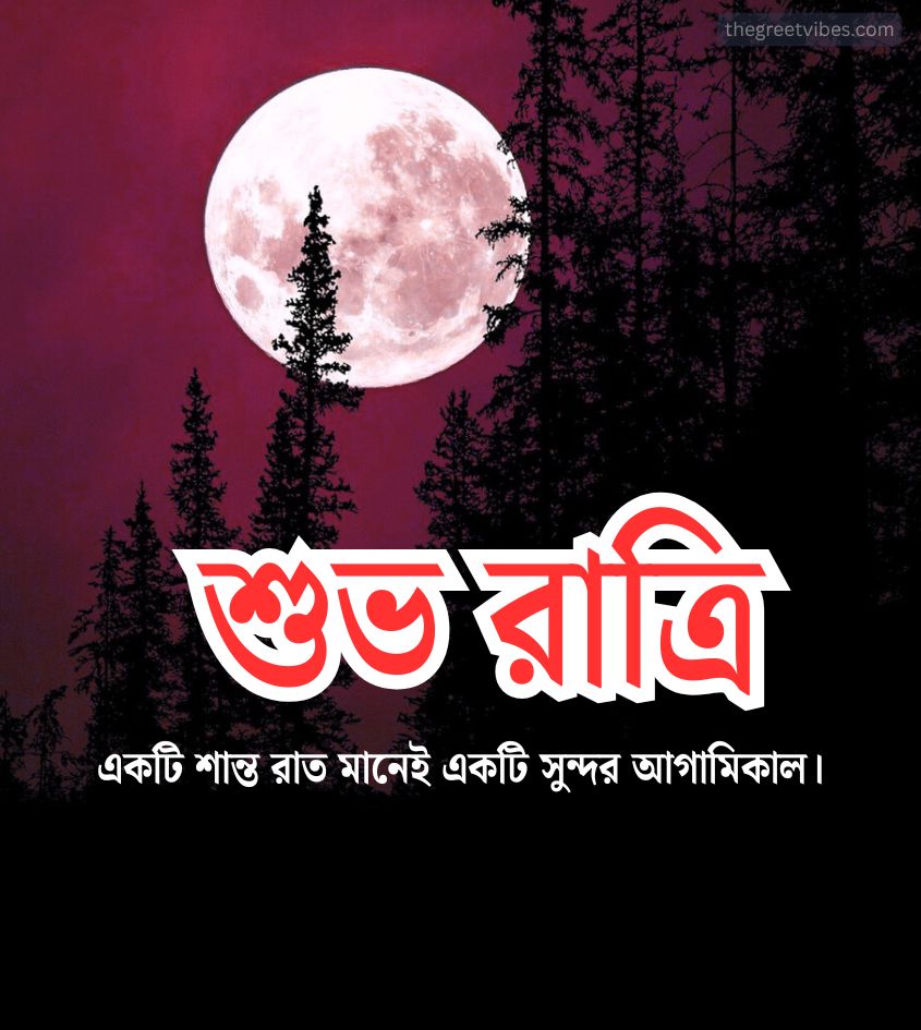 Bengali Good Night Images