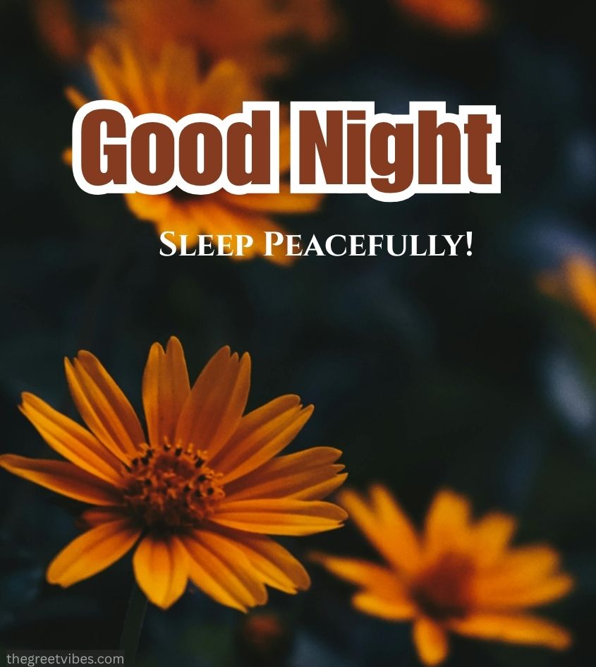 Good Night wishes
